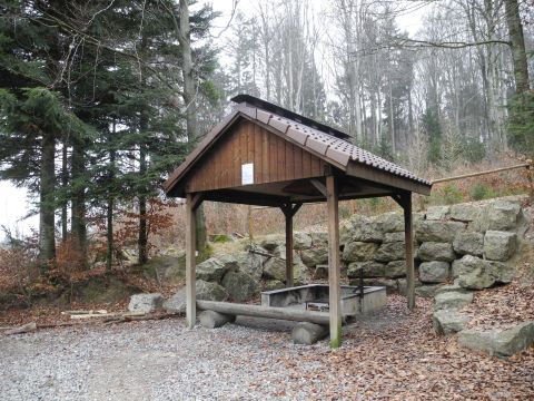 Forsthaus Bellmund